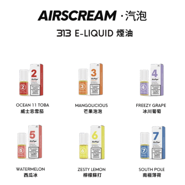 313英國_副本 英國 Airscream 313