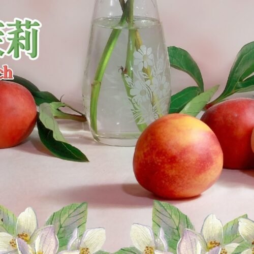 糖巢Sugar Nest https://mikeymcq.com @mikeymcq