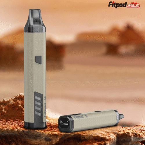 【小煙主機】原廠正品 Slyeek 3 Fitpod X 斯萊克 3 雷標版